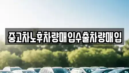 경기도 양주시 만송동 중고차매입 전문 중고차노후차량매입수출차량매입
