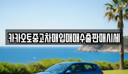 경기도 양주시 만송동 중고차매입 전문 카카오토중고차매입매매수출판매시세