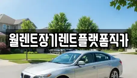 경기도 양주시 율정동 렌트카 전문 월렌트장기렌트플랫폼직카