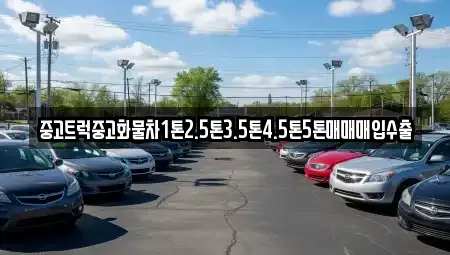 경기도 양평군 강상면 중고차 전문 중고트럭중고화물차1톤2.5톤3.5톤4.5톤5톤매매매입수출