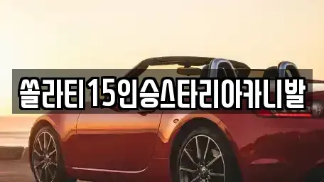 경기도 양평군 단월면 렌트카 전문 쏠라티15인승스타리아카니발