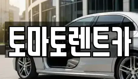 경기도 양평군 단월면 렌트카 전문 토마토렌트카