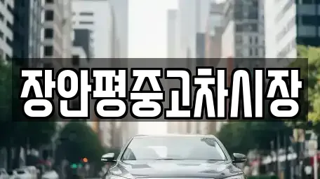 경기도 양평군 단월면 중고차매매 전문 장안평중고차시장