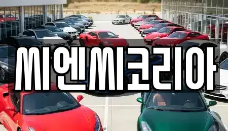 경기도 오산시 궐동 단기렌트카 전문 씨엔씨코리아