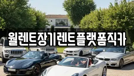 경기도 오산시 궐동 장기렌트카 전문 월렌트장기렌트플랫폼직카