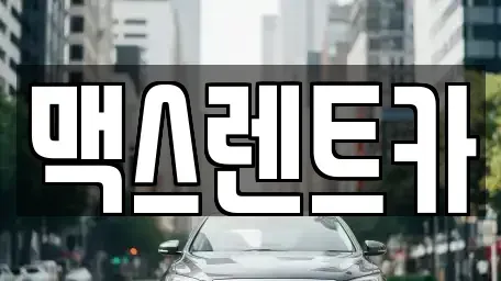 경기도 용인시 기흥구 보라동 렌트카 전문 맥스렌트카