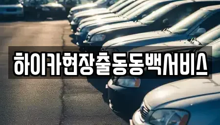 경기도 용인시 기흥구 보라동 렌트카 전문 하이카현장출동동백서비스