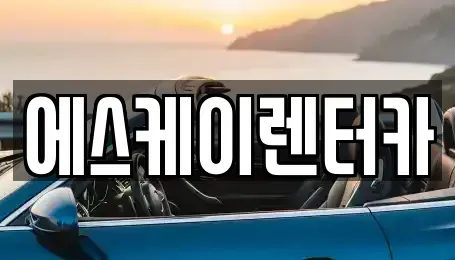 경기도 용인시 기흥구 보라동 장기렌트카 전문 에스케이렌터카