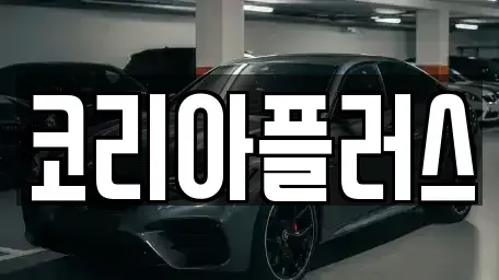 경기도 용인시 기흥구 보라동 장기렌트카 전문 코리아플러스