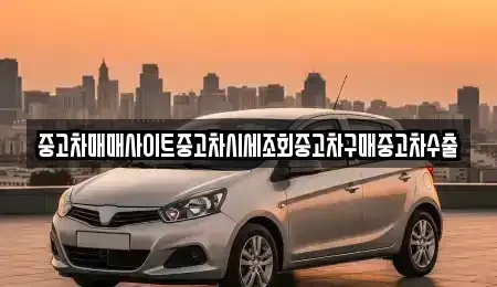 경기도 용인시 기흥구 보라동 중고차매매,단기렌트카,중고차매입,장기렌트카,중고차,렌트카