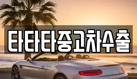 경기도 용인시 기흥구 보라동 중고차매매 전문 타타타중고차수출
