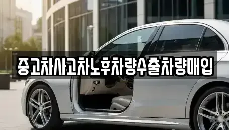경기도 용인시 기흥구 보라동 중고차매입 전문 중고차사고차노후차량수출차량매입