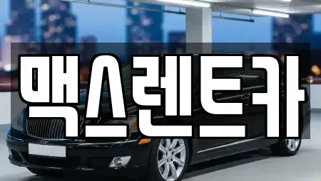 경기도 용인시 처인구 마평동 렌트카 전문 맥스렌트카