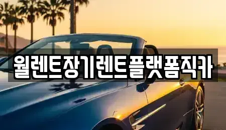 경기도 용인시 처인구 마평동 장기렌트카 전문 월렌트장기렌트플랫폼직카