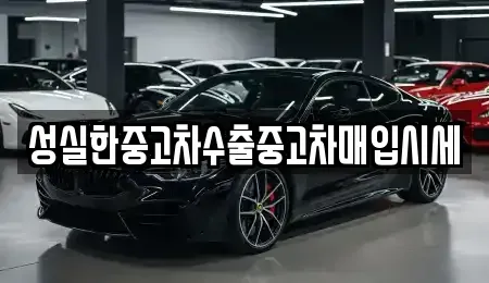 경기도 의왕시 내손동 중고차 전문 성실한중고차수출중고차매입시세