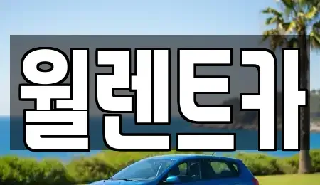 경기도 이천시 부발읍 렌트카 전문 월렌트카