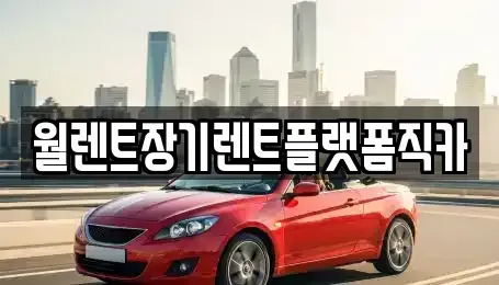 경기도 이천시 부발읍 장기렌트카 전문 월렌트장기렌트플랫폼직카