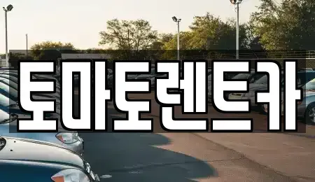 경기도 이천시 설성면 렌트카 전문 토마토렌트카