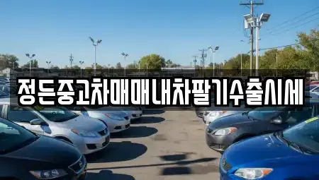 경기도 이천시 설성면 중고차 전문 정든중고차매매내차팔기수출시세