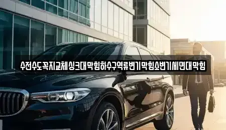 경기도 파주시 적성면 중고차매입 전문 수전수도꼭지교체싱크대막힘하수구역류변기막힘소변기세면대막힘