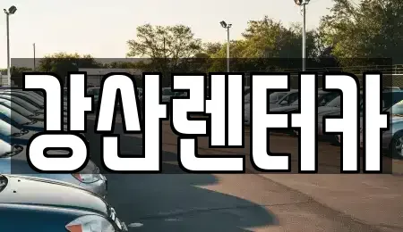 경기도 평택시 동삭동 렌트카 전문 강산렌터카