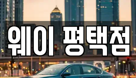 경기도 평택시 동삭동 장기렌트카 전문 웨이 평택점