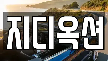 경기도 평택시 동삭동 중고차매매 전문 지디옥션