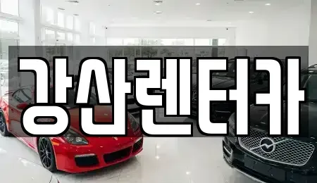 경기도 평택시 비전동 렌트카 전문 강산렌터카