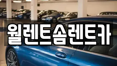경기도 평택시 비전동 렌트카 전문 월렌트솜렌트카
