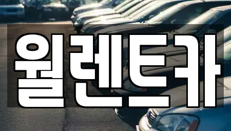 경기도 평택시 비전동 렌트카 전문 월렌트카