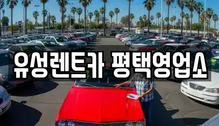 경기도 평택시 비전동 렌트카 전문 유성렌트카 평택영업소