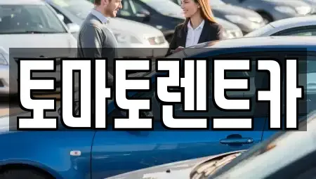 경기도 평택시 비전동 렌트카 전문 토마토렌트카