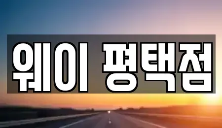 경기도 평택시 비전동 장기렌트카 전문 웨이 평택점