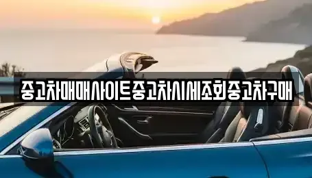 경기도 평택시 비전동 중고차매매 전문 중고차매매사이트중고차시세조회중고차구매