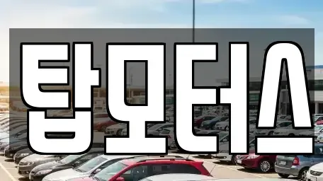 경기도 평택시 비전동 중고차매매 전문 탑모터스