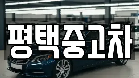 경기도 평택시 비전동 중고차매매 전문 평택중고차