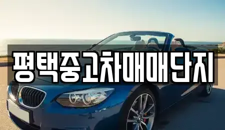 경기도 평택시 비전동 중고차매매 전문 평택중고차매매단지