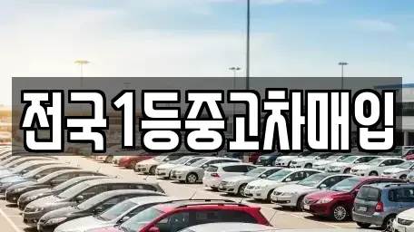 경기도 평택시 비전동 중고차매입 전문 전국1등중고차매입