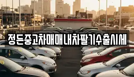 경기도 포천시 영중면 중고차매매 전문 정든중고차매매내차팔기수출시세