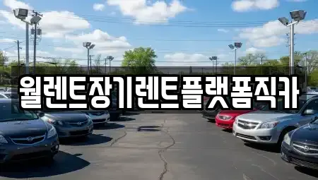 경기도 하남시 초이동 장기렌트카 전문 월렌트장기렌트플랫폼직카