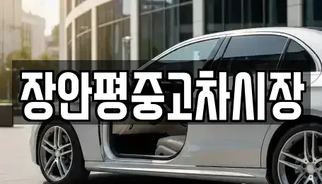경기도 하남시 초이동 중고차 전문 장안평중고차시장