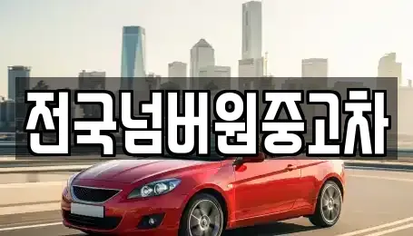 경기도 하남시 춘궁동 중고차 전문 전국넘버원중고차