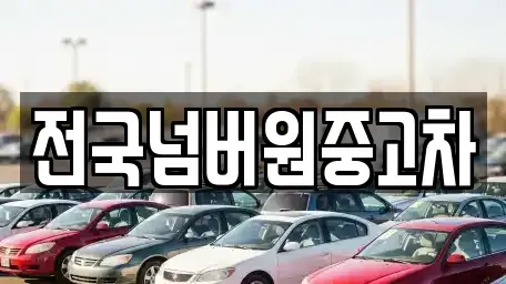 경기도 하남시 항동 중고차 전문 전국넘버원중고차