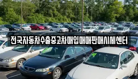 경기도 하남시 항동 중고차 전문 전국자동차수출중고차매입매매판매시세센터
