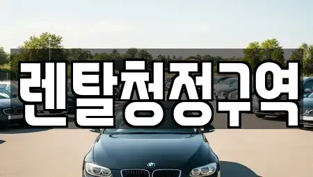 경기도 화성시 남양읍 장기렌트카 전문 렌탈청정구역