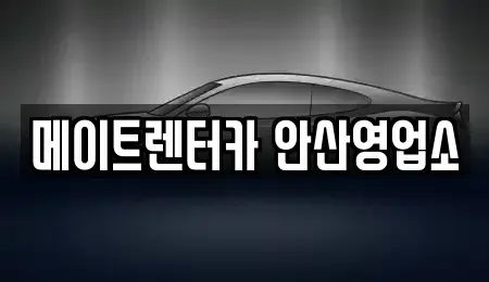 경기도 화성시 남양읍 장기렌트카 전문 메이트렌터카 안산영업소