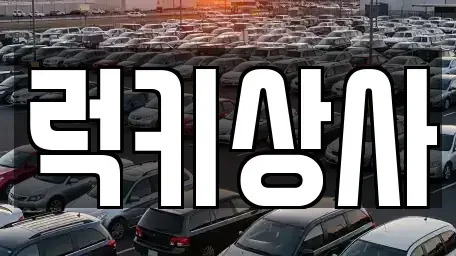 경기도 화성시 남양읍 중고차 전문 럭키상사
