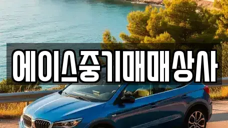 경기도 화성시 남양읍 중고차 전문 에이스중기매매상사