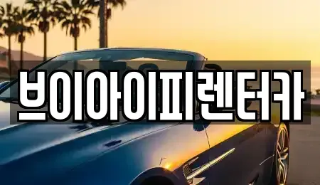 경기도 화성시 송산동 렌트카 전문 브이아이피렌터카