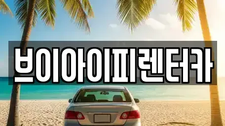 경기도 화성시 안녕동 렌트카 전문 브이아이피렌터카